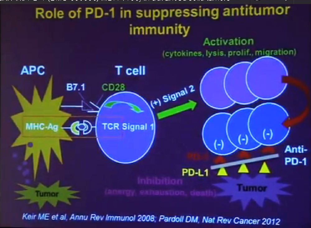 1 role of PD-1 in suppressing antitumor immunity