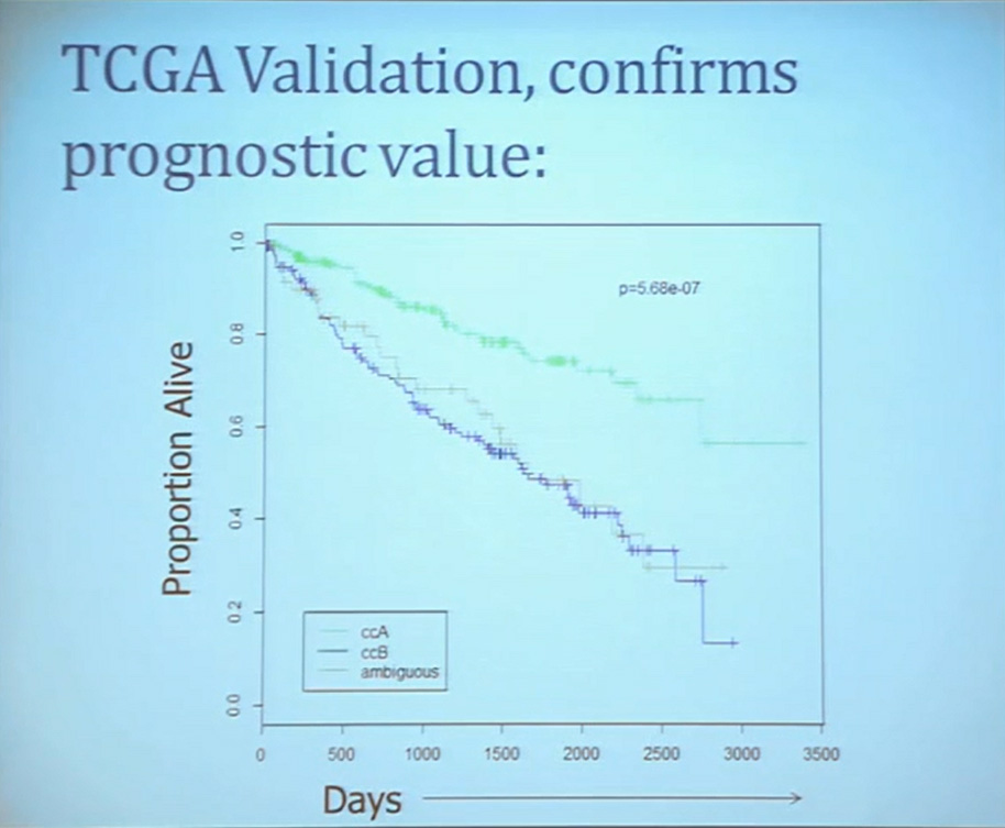 10 TCGA Validation, confrims prognostic value