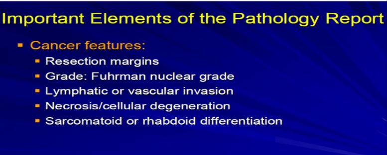 Path 14 Impor Elements 4