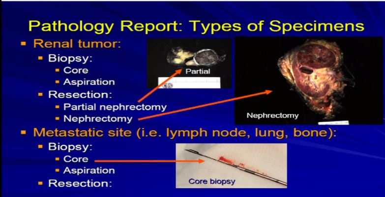 Path 2 Types of Spec