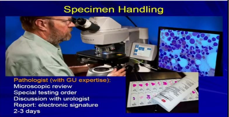 Path 4 Speci Handling2