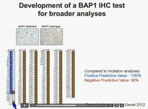 BRUG 14 dev of BAP1 IHC test