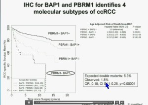 BRUG 18 IHC BAP1 & PBRM1 ids 4 sutypes ccRCC