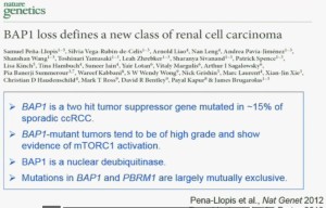BRUG 3BAP1 loss defiens new class of RCCCapture