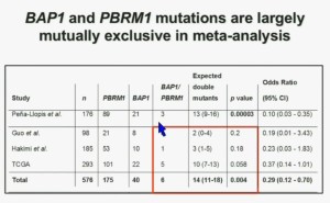 BRUG 5BAP1 & PBRM1 meta anal