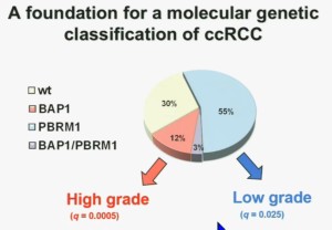 BRUG 8Fdn Mole Gene sign ccRCC