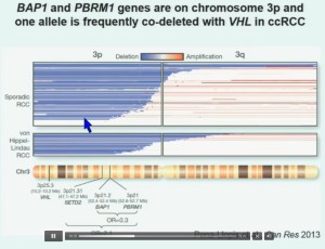 BRUG 9  BAP1 & PBRM1 on chromo 3p VHL